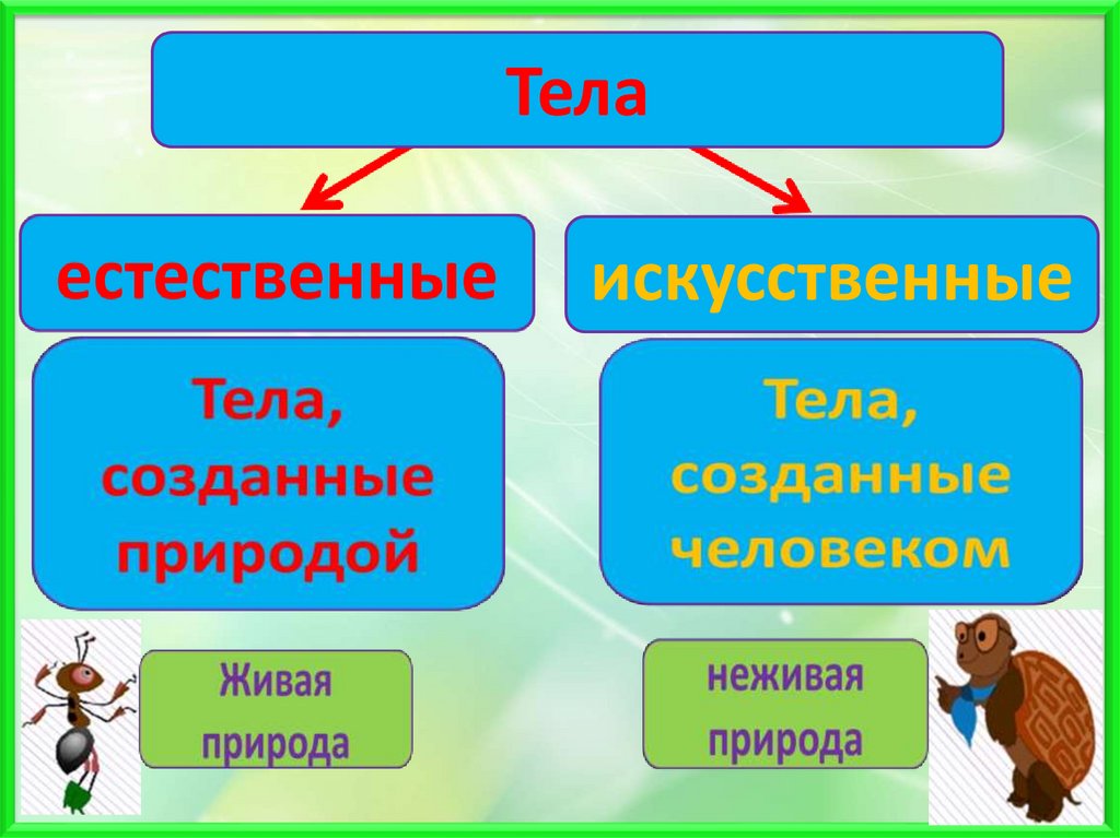 Вещества тела частицы презентация