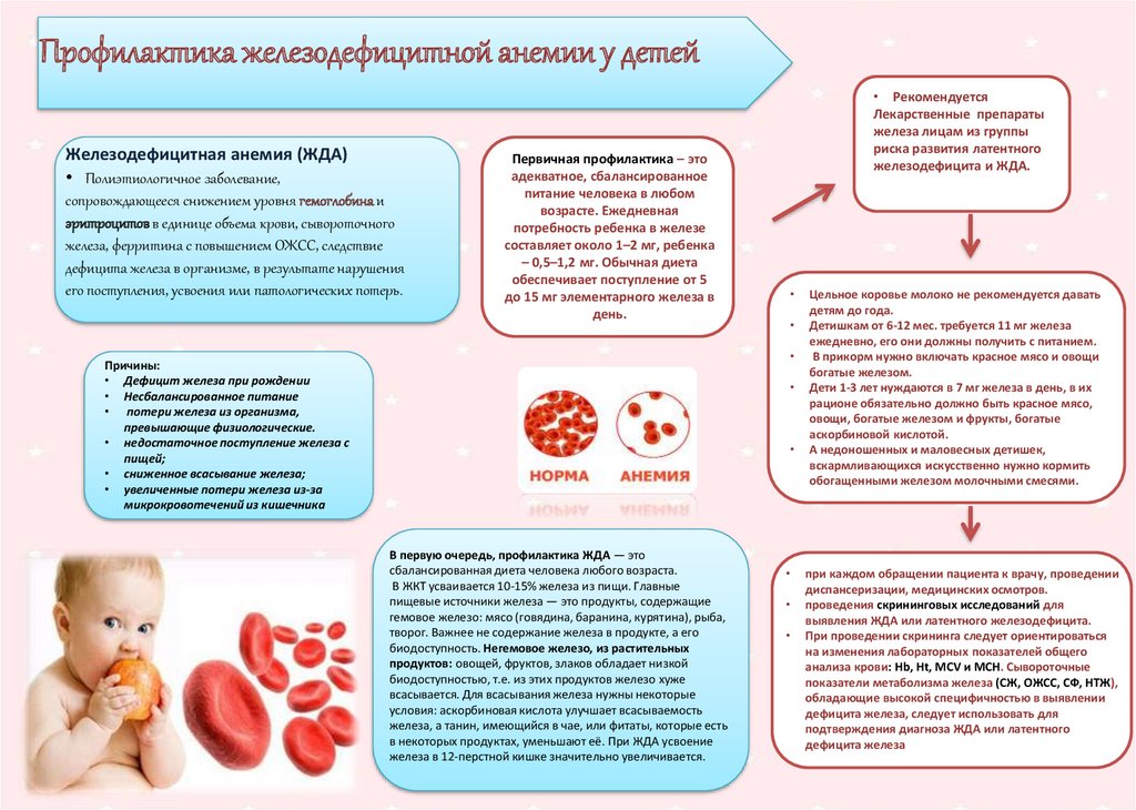 Каши для детей с анемией