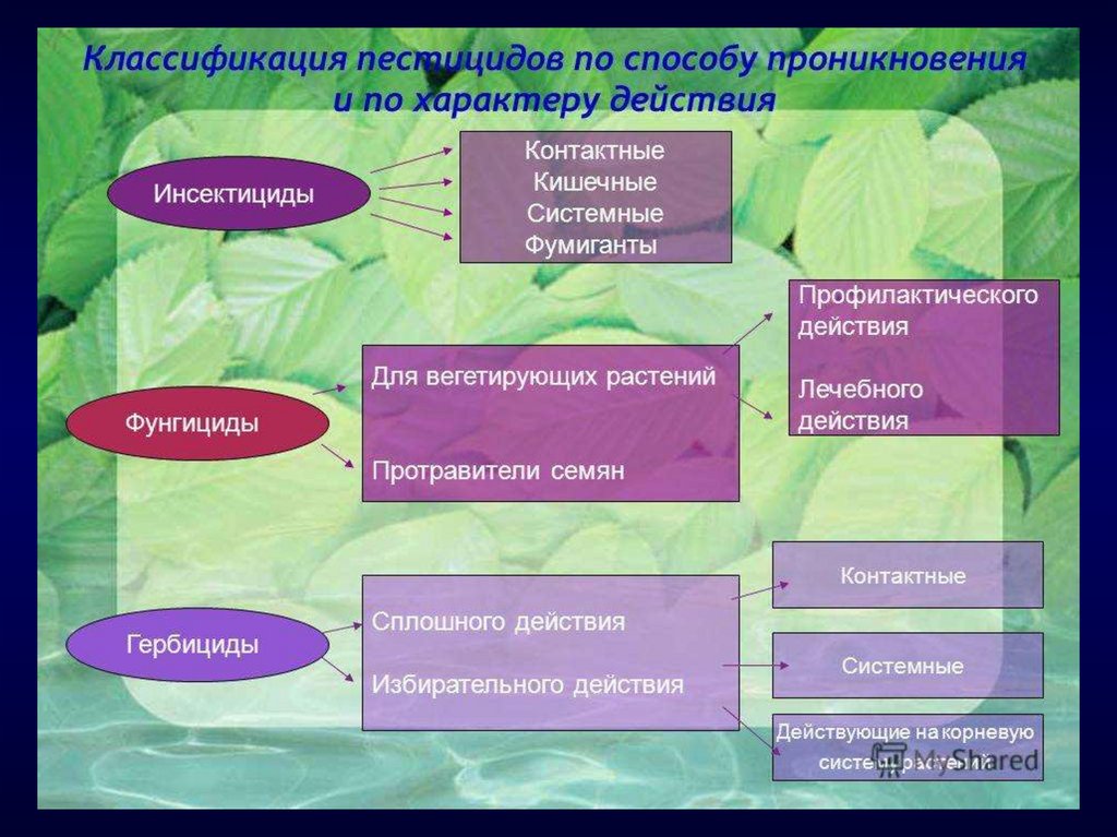 Пестициды таблица. Классификация инсектицидов. Классификация инсектицидовдов. Инсекцидыклассификация. Классификация химических средств защиты растений.
