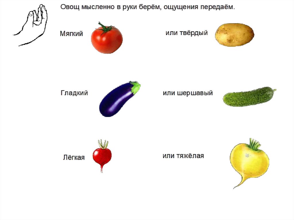 Тема урока фрукты. Описание овощей. Овощи для дошкольников. Схема описания овощей. Описание овощей для детей.