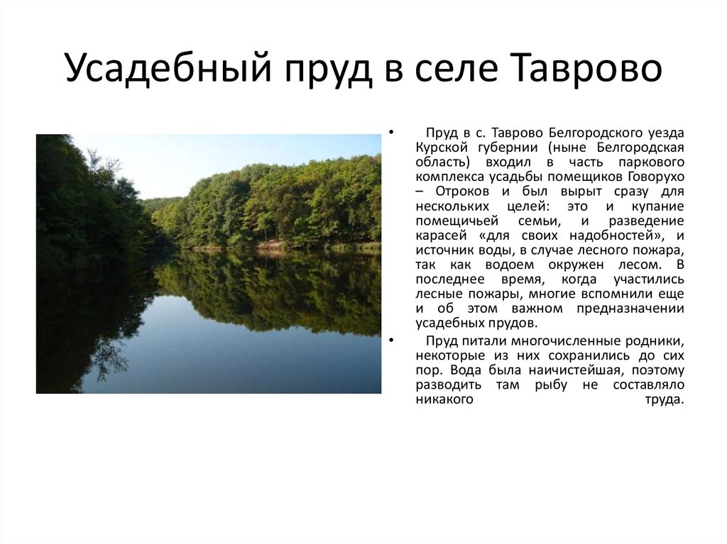 Усадебный пруд в селе Таврово