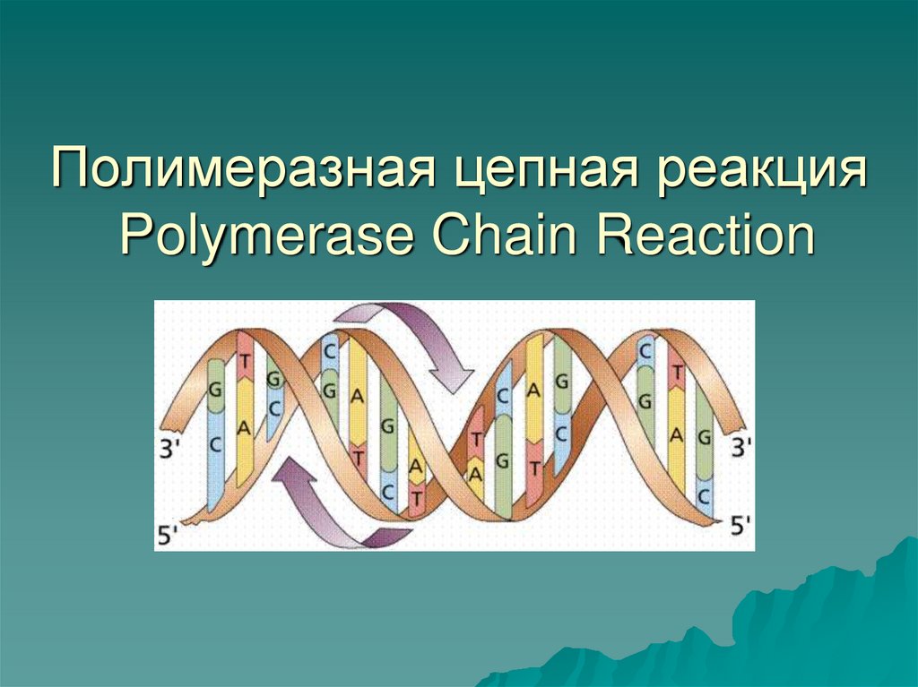 Метод полимеразной цепной реакции презентация