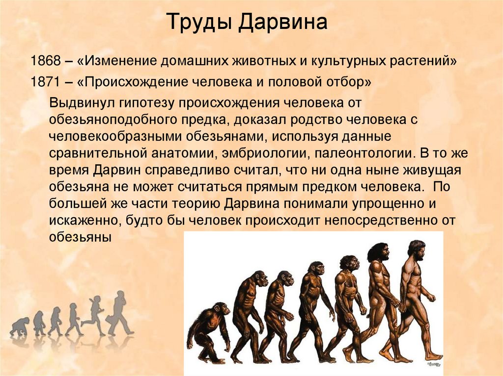 Предком современного человека является. Происхождение человека. Труды Дарвина. Дарвин о происхождении человека. Главные труды Дарвина.