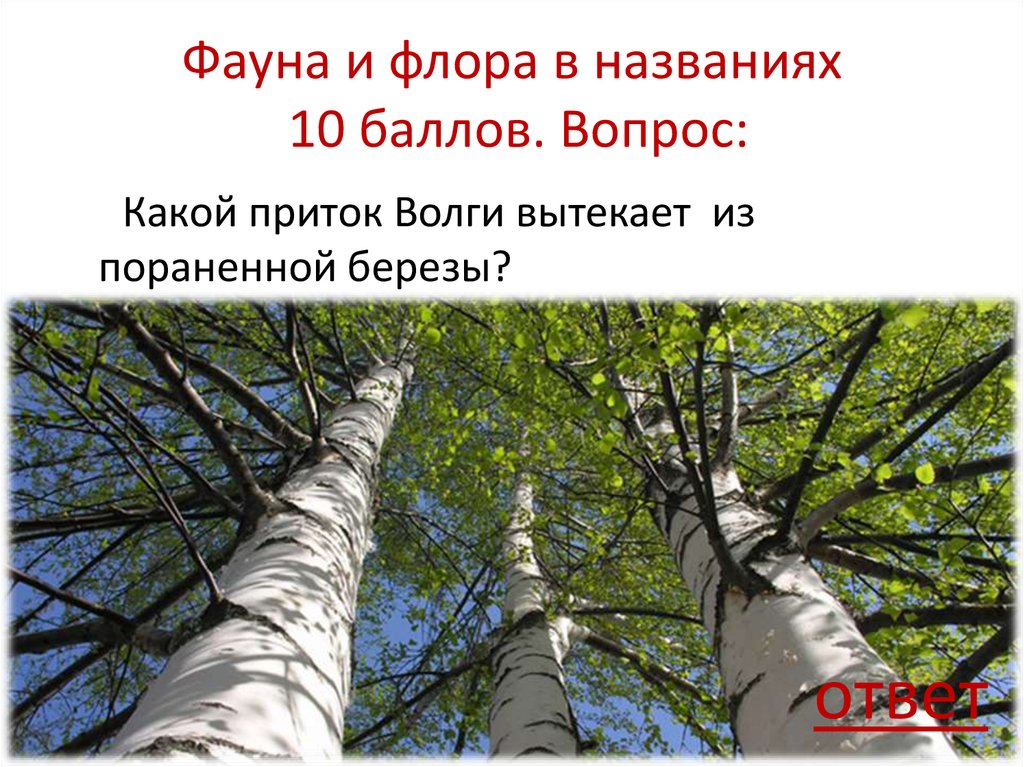 Фауна и флора в названиях 10 баллов. Вопрос: