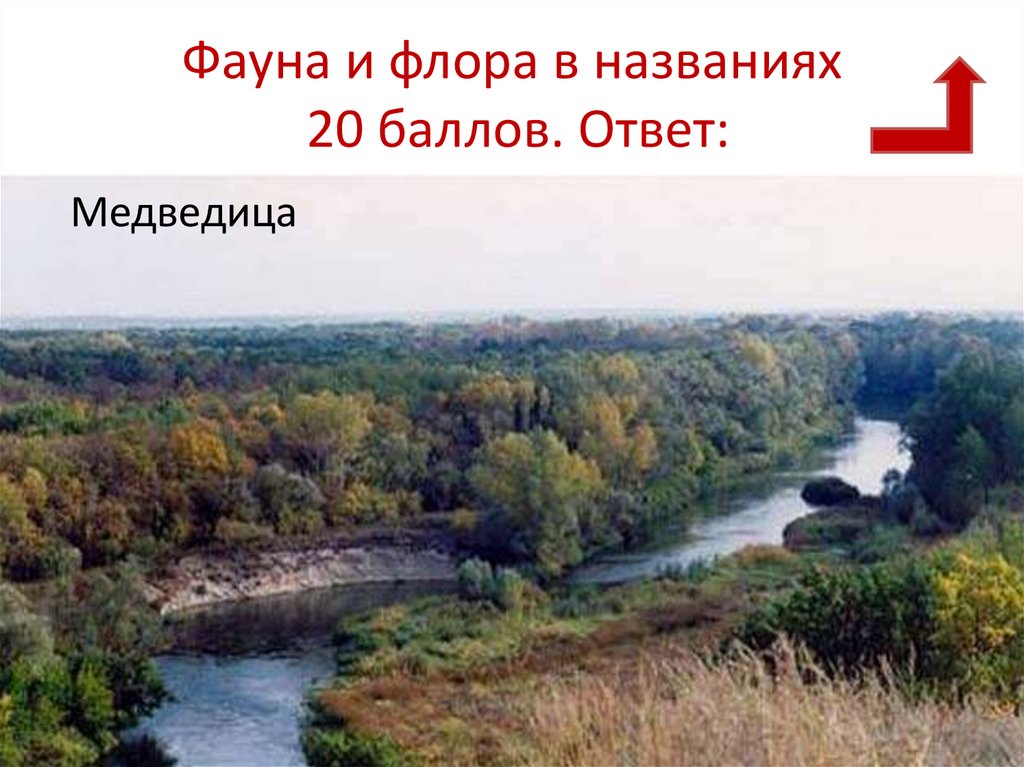 Фауна и флора в названиях 20 баллов. Ответ: