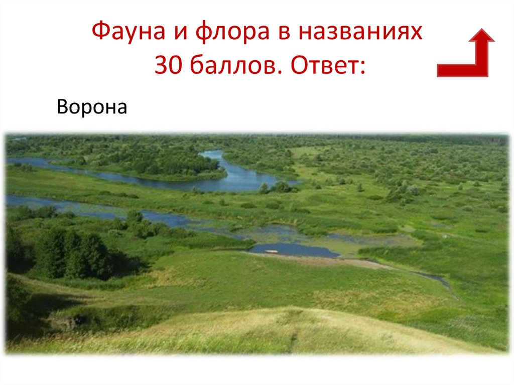 Фауна и флора в названиях 30 баллов. Ответ: