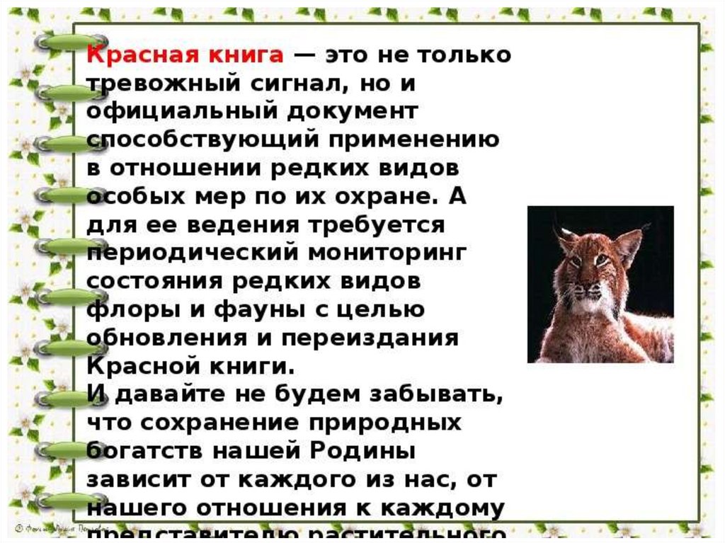 Животные красной книги тамбовской области фото и описание