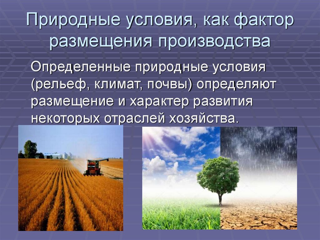 Как природные условия влияют на производство. Природные факторы. Природные условия фактор размещения. Природные факторы картинки. Природные условия определение.