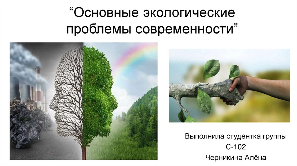 Основные экологические. Фундаментальная экология. Книги для экологических проблем современности.