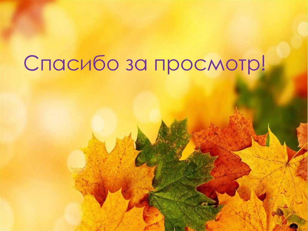 Спасибо за просмотр!