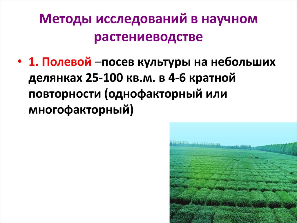 Лекция по теме Организация основных трудовых процессов в растениеводстве