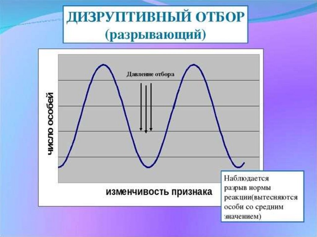 Дизруптивный отбор картинки