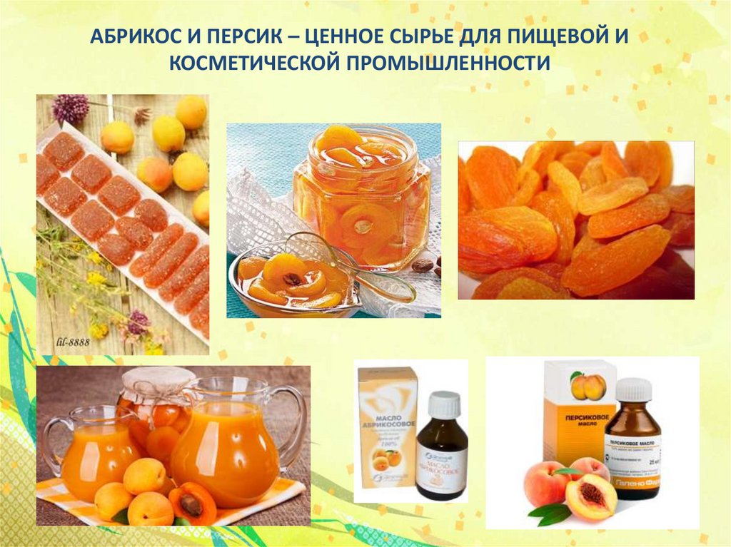 Презентация про абрикос