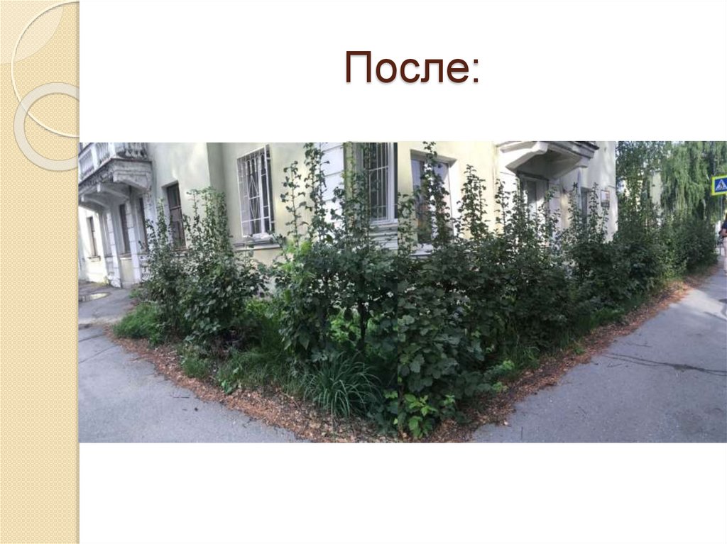 После: