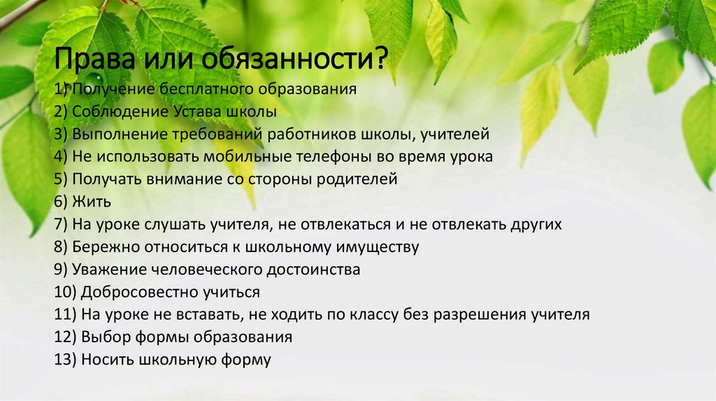 Права или обязанности?