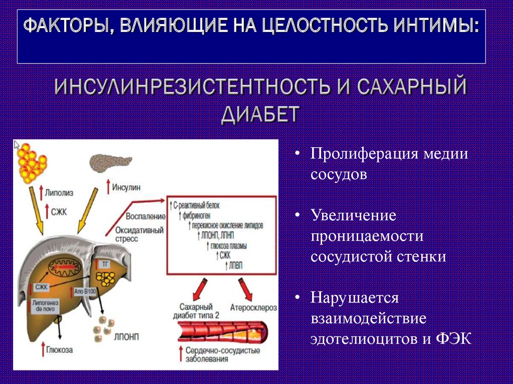 Презентация сестринский процесс при ибс