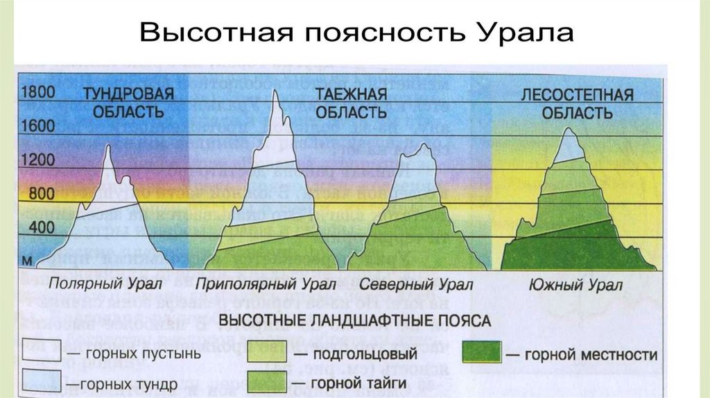 Различия высотной поясности в горах. Высотная поясность России 4 класс. Высотная поясность материка Евразия. Высотные пояса России 4 класс. Природные зоны кавказских гор.