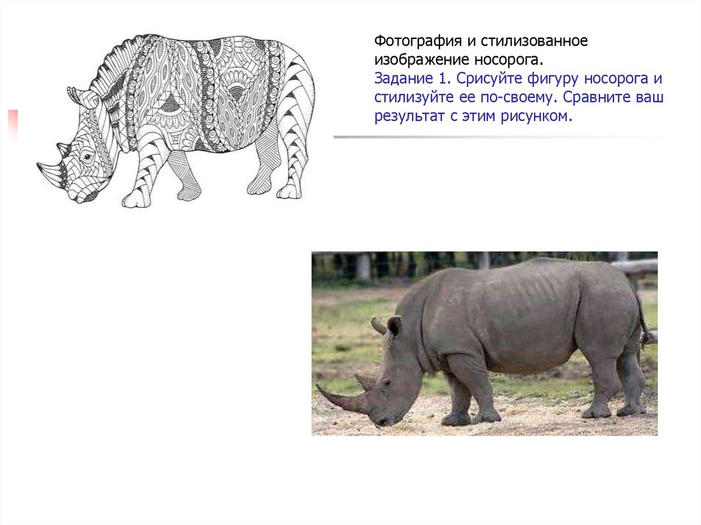 Фотография и стилизованное изображение носорога. Задание 1. Срисуйте фигуру носорога и стилизуйте ее по-своему. Сравните ваш