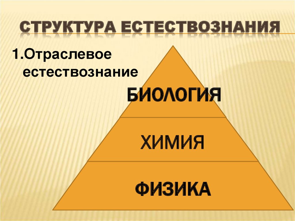 Опенеду естественнонаучная картина мира