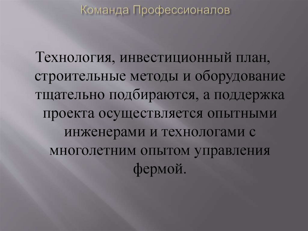 Команда Профессионалов