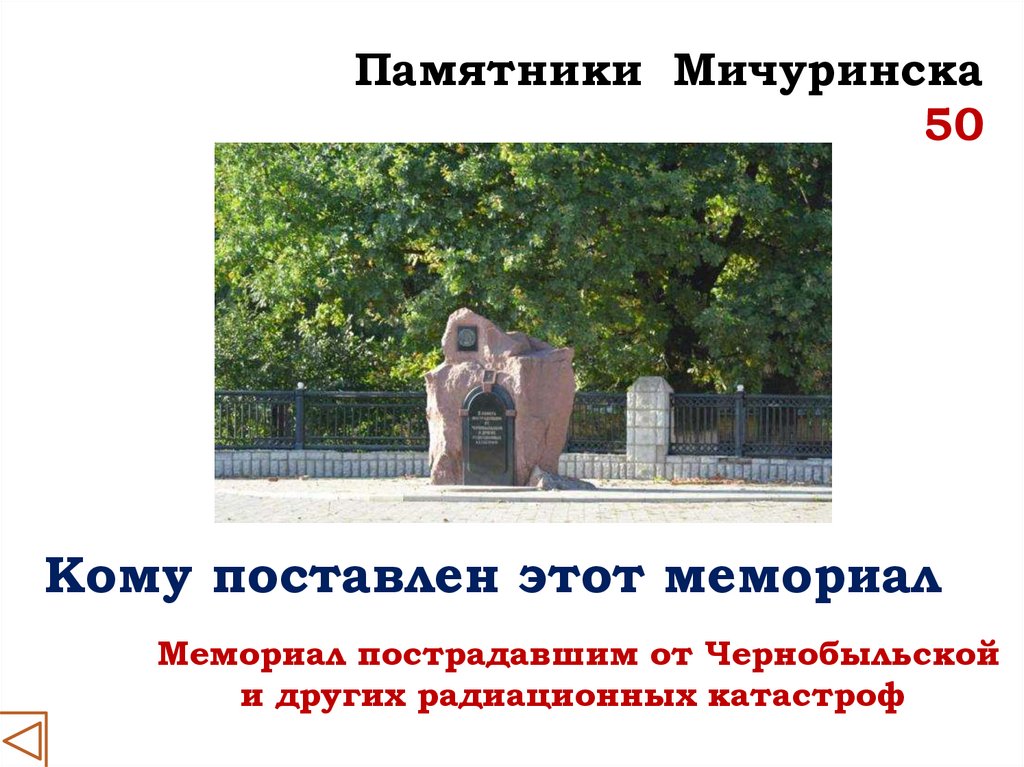 Памятники Мичуринска 50