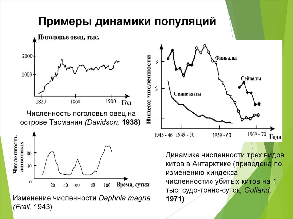 Динамика популяции презентация