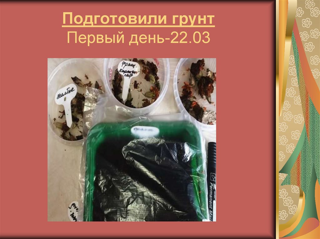 Подготовили грунт Первый день-22.03