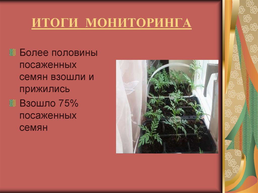 ИТОГИ МОНИТОРИНГА
