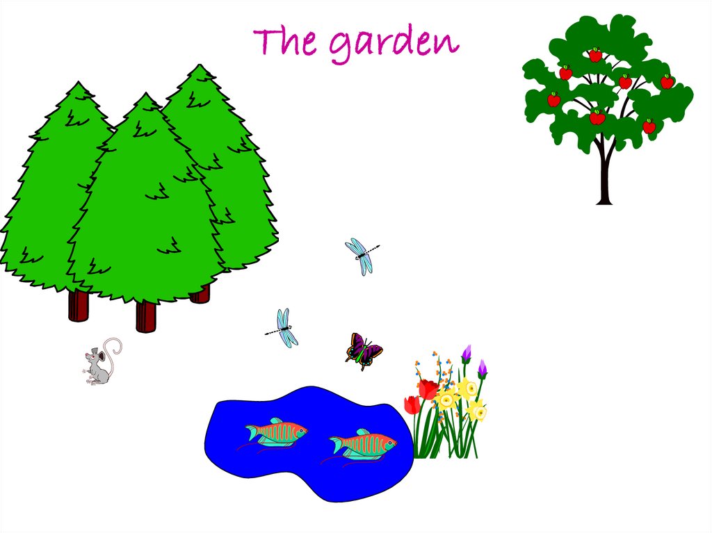 The garden