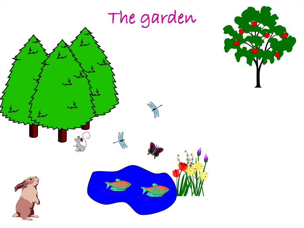 The garden
