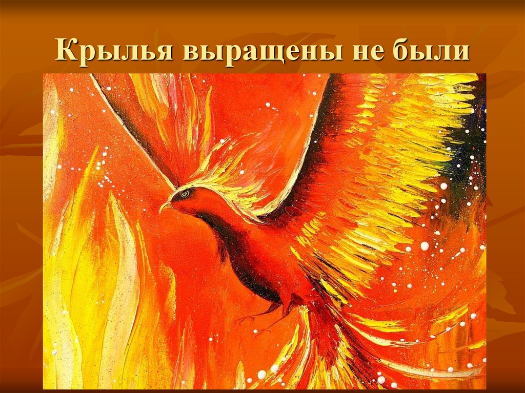 Крылья выращены не были