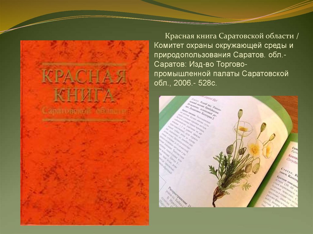 Красная книга растений Саратовской области обложка. Животные красной книги Саратовской области.