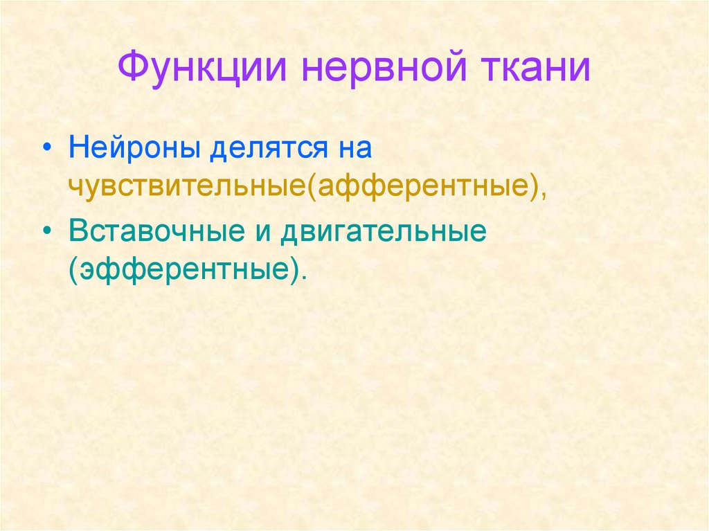 Функции нервной ткани