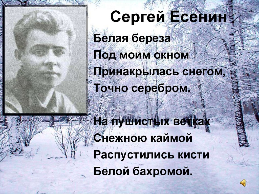 Белая береза есенин презентация