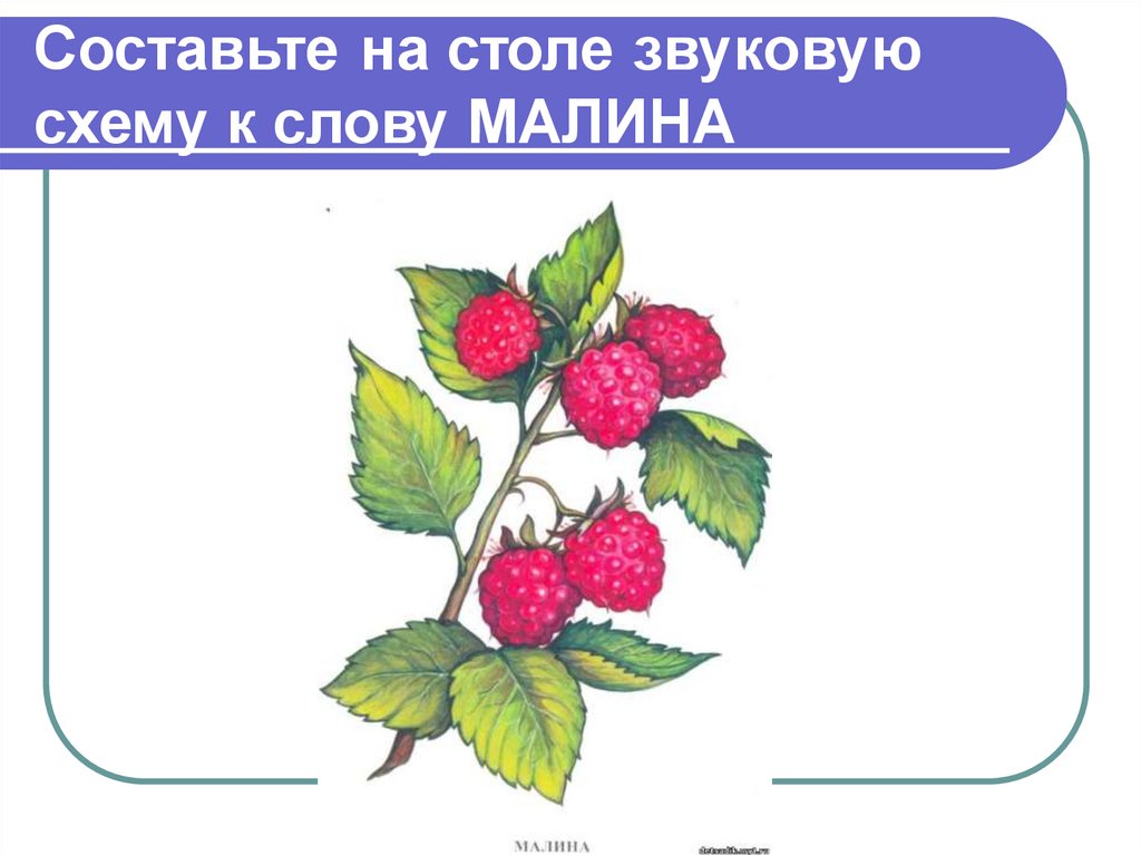 Схема слова малина