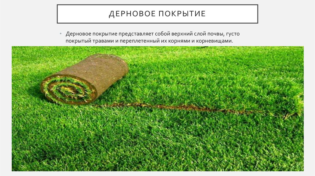 Дерновое покрытие