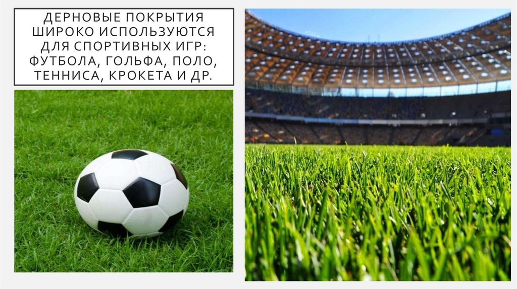 Дерновые покрытия широко используются для спортивных игр: футбола, гольфа, поло, тенниса, крокета и др.