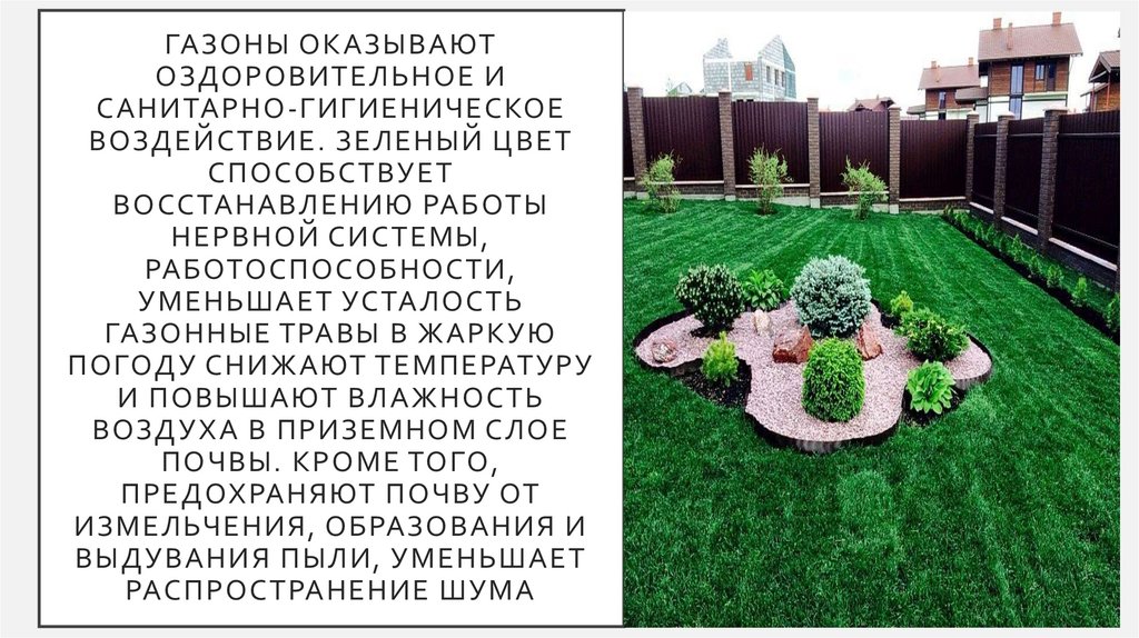 Газоны оказывают оздоровительное и санитарно-гигиеническое воздействие. Зеленый цвет способствует восстанавлению работы нервной