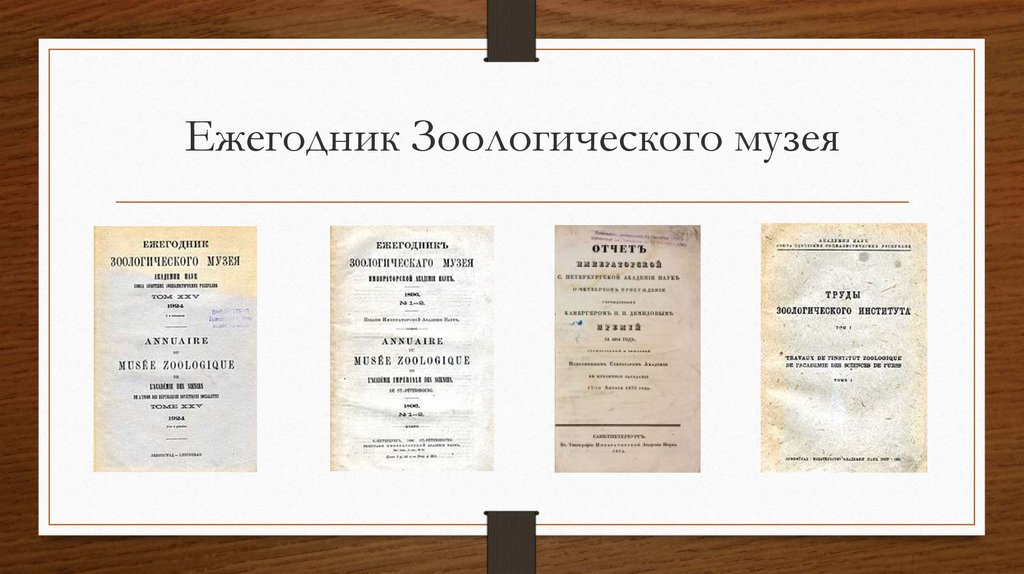 Ежегодник Зоологического музея