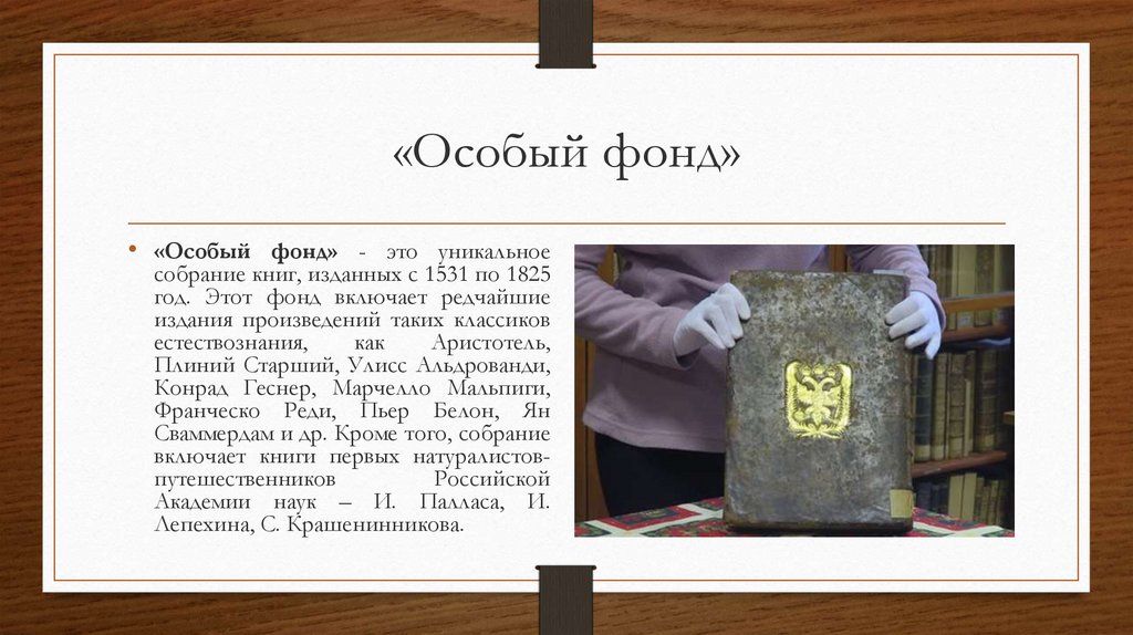 «Особый фонд»