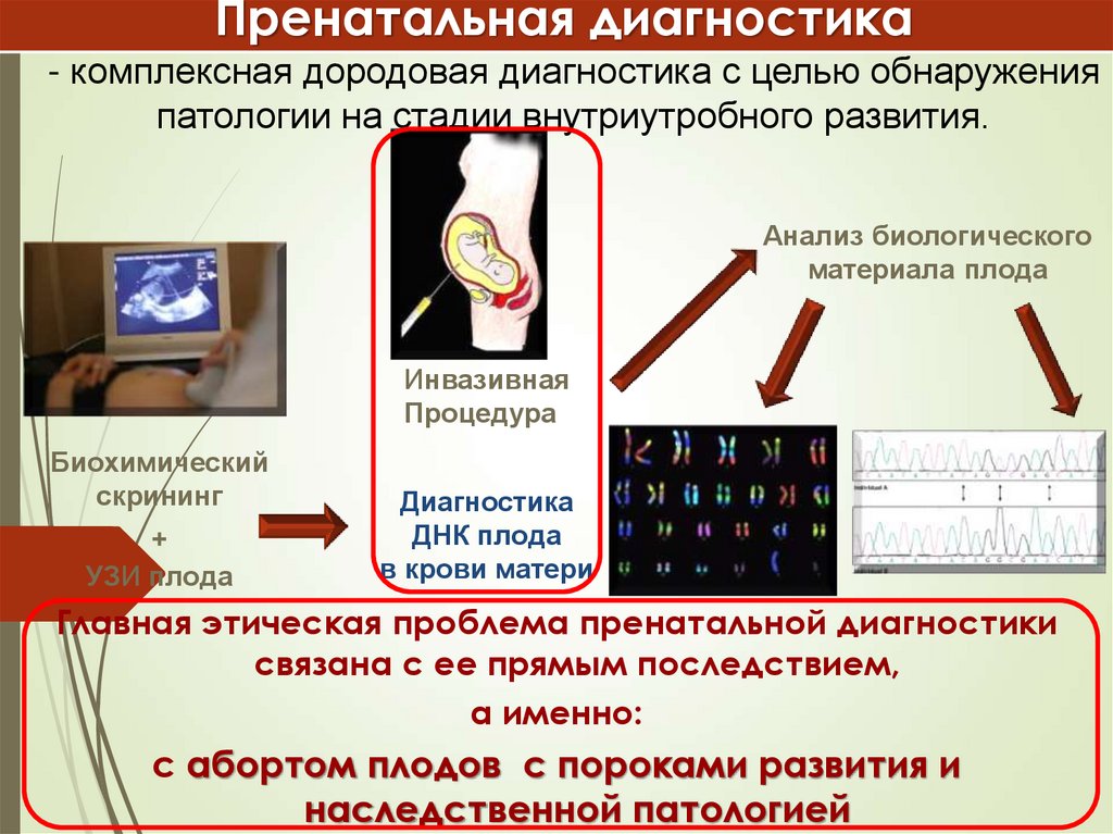 Моральные проблемы медицинской генетики презентация