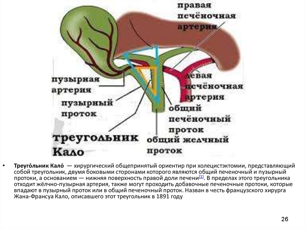 Постхолецистэктомический синдром карта вызова