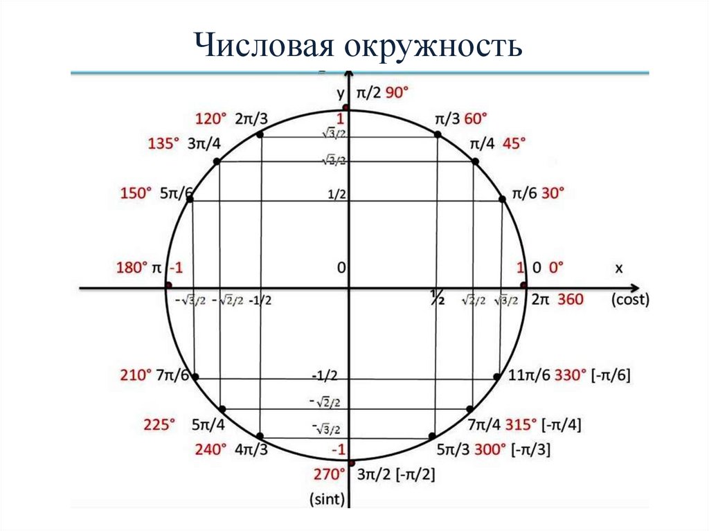 Тригонометрический калькулятор по фото