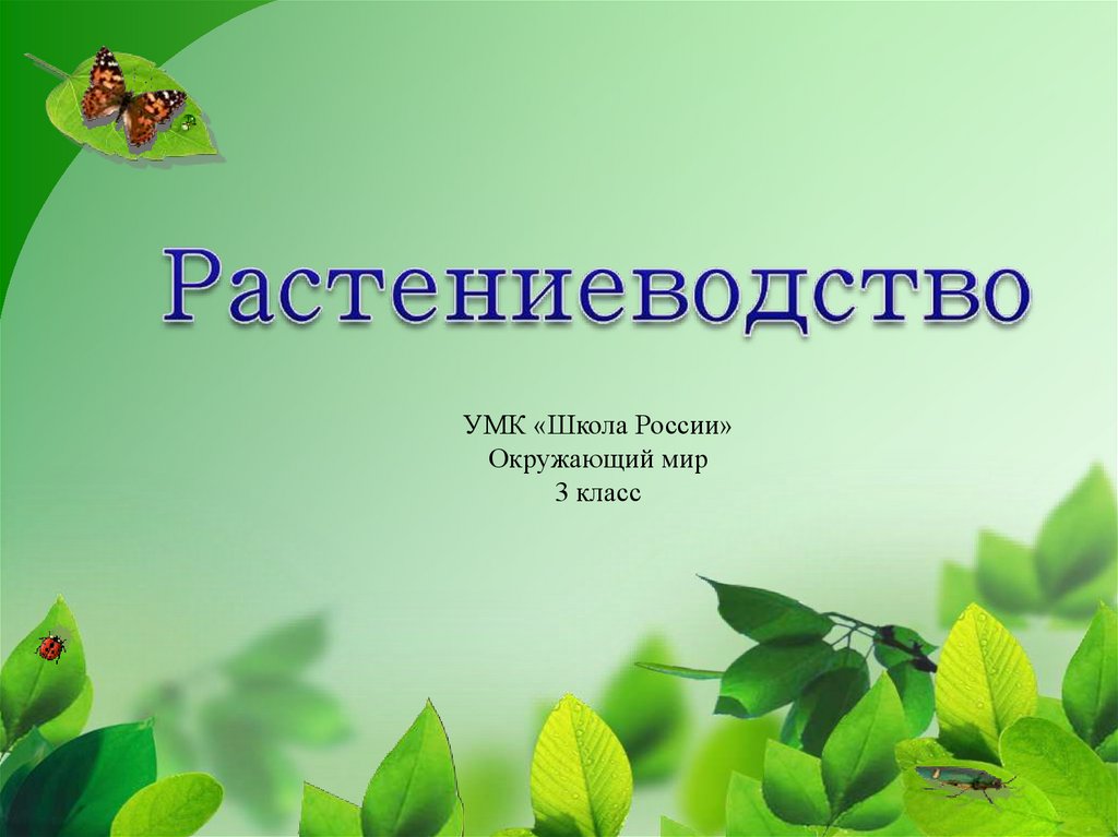 Инфоурок презентация по окружающему миру