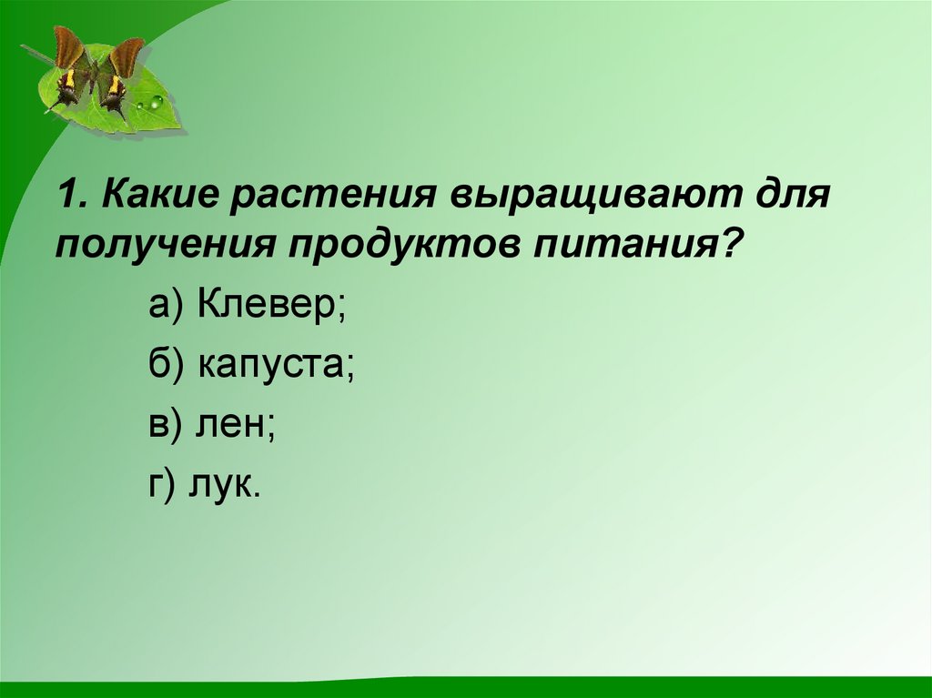 Из какого в 1 3. Какие растения выращивают на корм животным. Какие растения выращивают для получения продуктов питания. Какое растение выращивают на корм домашних животных. Какие растения выращивать.