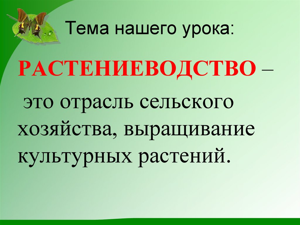 Презентация на тему растениеводство