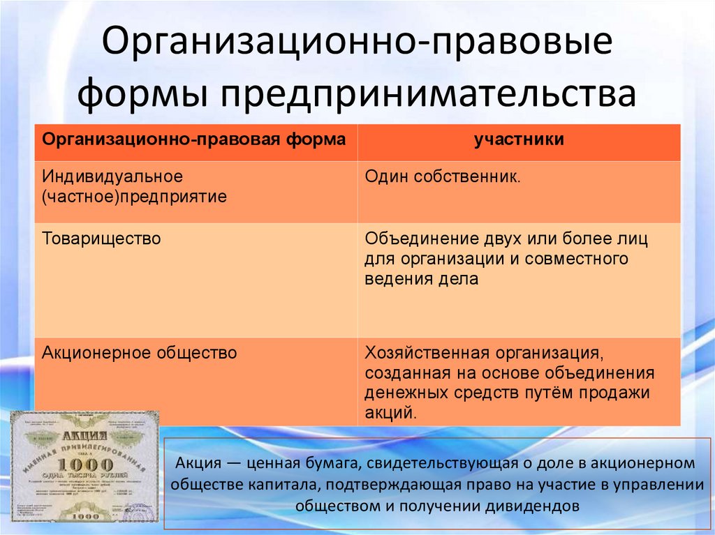 Опф предпринимательской деятельности план