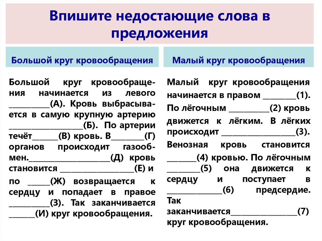 Впишите недостающие надписи в схему обработка информации