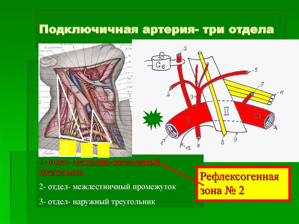 Тк гулливер схема