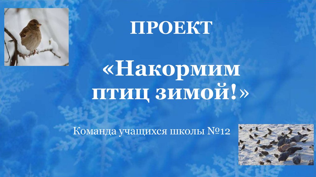 Проект Покормите птиц зимой. Презентация Покормите птиц зимой. Сочинение на тему Покормите птиц зимой 3 класс по русскому языку. Номинация Экопроект Покормите птиц зимой презентация.